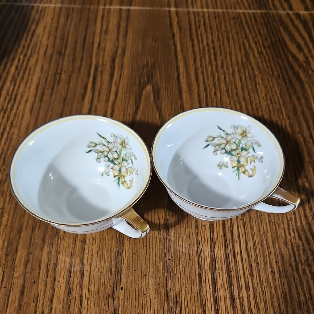 Heinrich & Co. (H&C) Selb Bavaria China - 2 Vintage Porcelain China Teacups